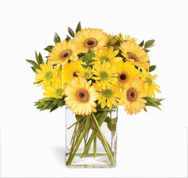 Morning Joy Bouquet Davis Floral Clayton Indiana from Davis Floral